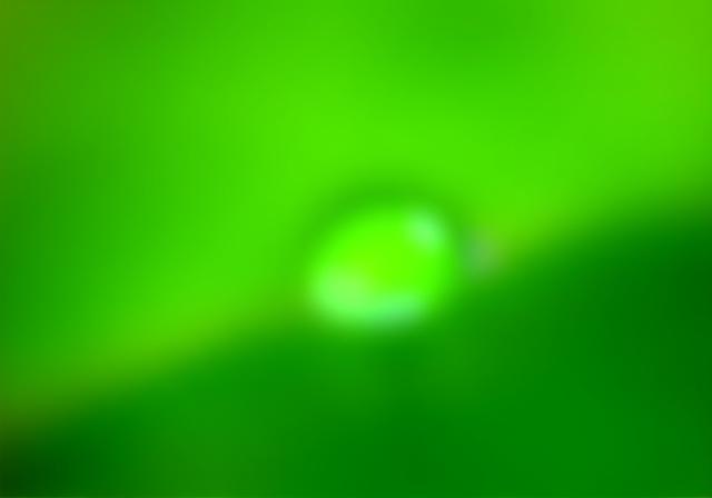 Green leaf with a drop of water, symbolizing eco-friendliness.